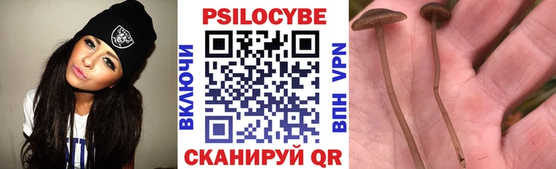 Галлюциногенные грибы Psilocybe  Кумертау 