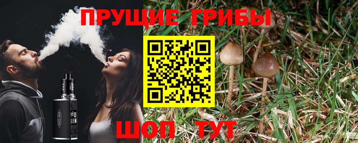 купить   Кумертау  Галлюциногенные грибы Magic Shrooms 