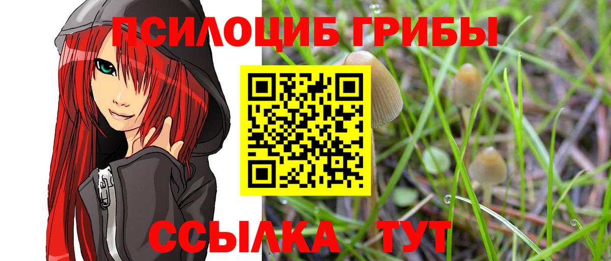 Галлюциногенные грибы MAGIC MUSHROOMS  Вход с VPN  Кумертау 